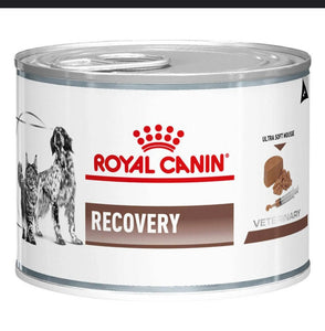 Lata Recovery Royal Canin