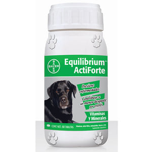 Equilibrium Actiforte