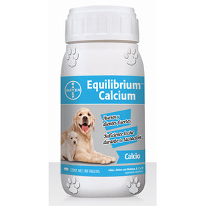 Equilibrium Calcium