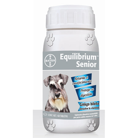 Equilibrium Senior